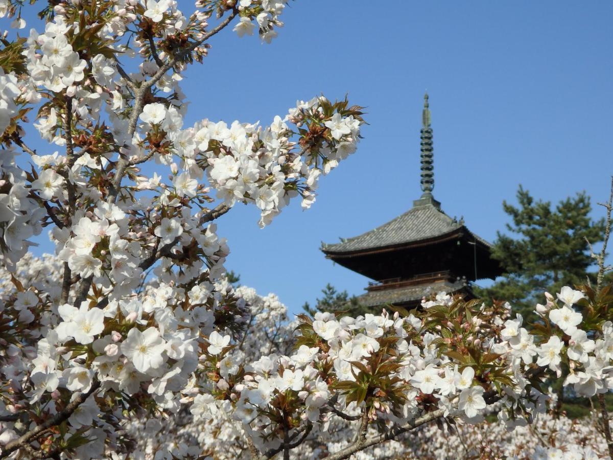 Stay SAKURA Kyoto TSUBAKI Eksteriør billede