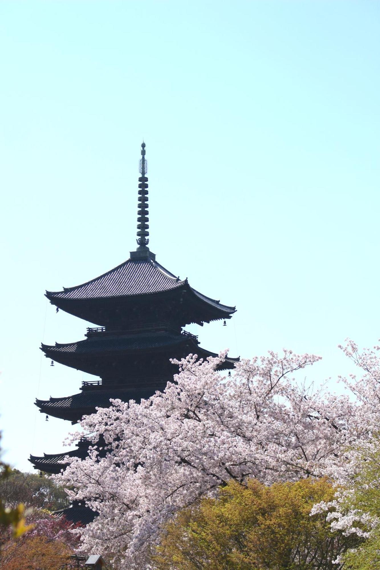 Stay SAKURA Kyoto TSUBAKI Eksteriør billede